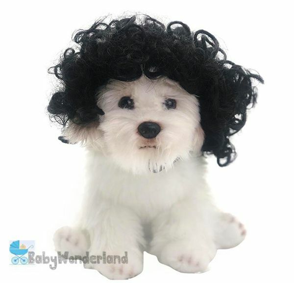 Pet Wig Small Dog Cat Cosplay Cross Dressing Hair Transforming Prop Halloween