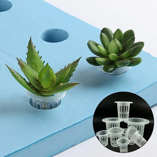 Hydroponics Plant Grow Net Cup Mesh Pot Basket Mesh Aeroponic 70x48.5mm
