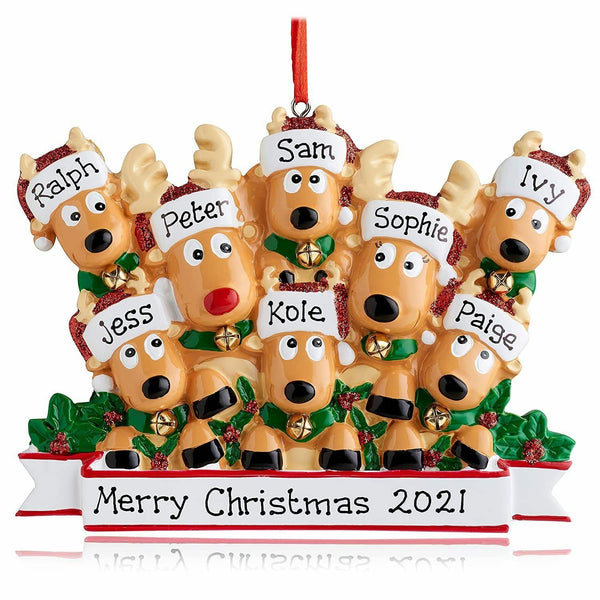 8 reindeer custom Christmas ornament with example names and a dated banner