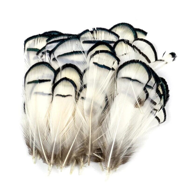 BULK 40pcs Hackle Chukar 5-8cm Black White Pheasant Feathers DIY Craft Flytying