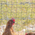 files/s-l1600_d6a2700a-d6e2-45b2-a38d-94625b45779d.jpg