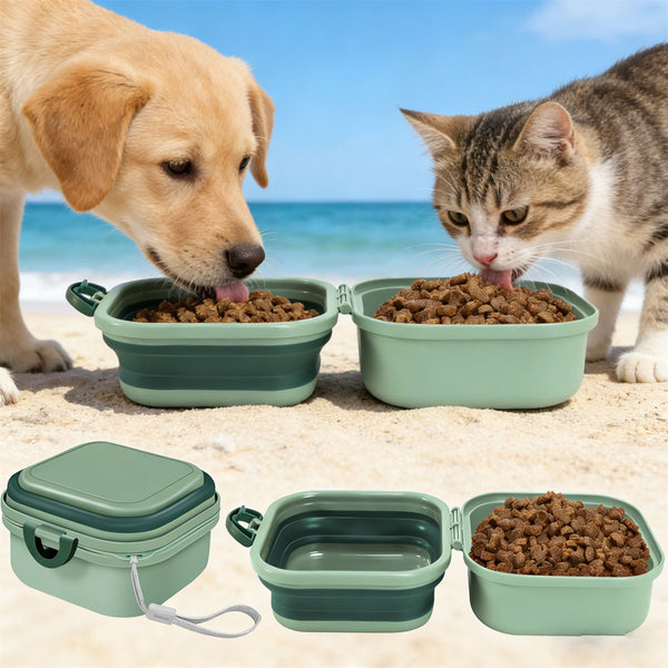 2PCS Portable Pet Food and Water Bowl Collapsible Travel Dog Cat Feeding Bowl