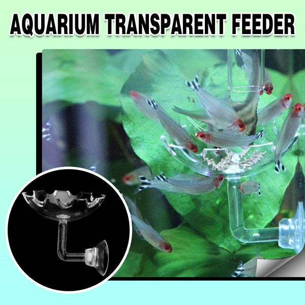 Aquarium Fish Tank Shrimp Food Feeder Clear Glass Feeding Dish Tank Accessory