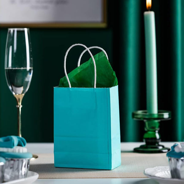 100PCS Sky Blue Kraft Paper Bags with Handles – Gift & Shopping Carry Bags