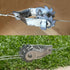 files/s-l1600_dd119f32-c813-4792-a47e-b8968a66cc7f.jpg