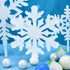 files/s-l1600_df9df2b9-4239-4dc0-ae76-0b0b99c0fa43.jpg