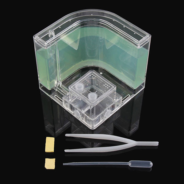 Green gel ant farm with tweezers and dropper