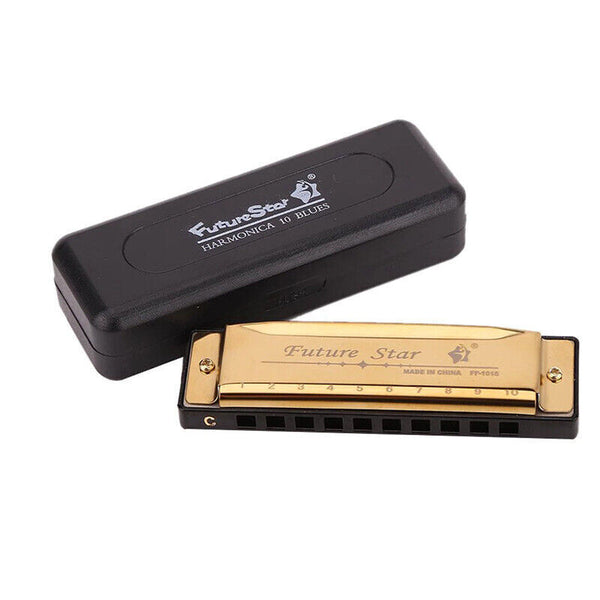 10 Hole Harmonica Blues Musical Instrument for Beginners and Professionals AU