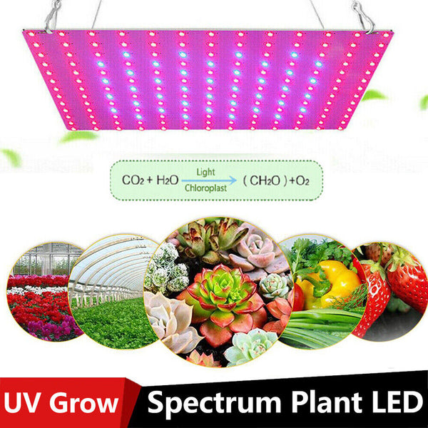 Plant AU plug Indoor UV Light Spectrum Plant Veg Lamp LED Grow Light Hydroponic