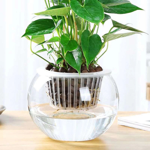 Hydroponics Plant Grow Net Cup Mesh Pot Basket Mesh Aeroponic 70x48.5mm