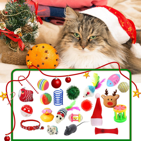 Fluffy cat in a Santa hat above the 24 cat toys included in the Christmas countdown