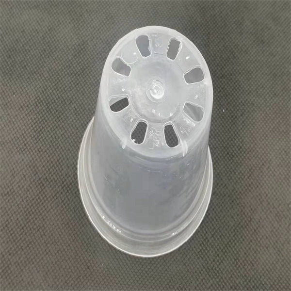 10X Clear Plastic Orchid Pots with Holes | Phalaenopsis, Paphiopedilum 76MM AUS