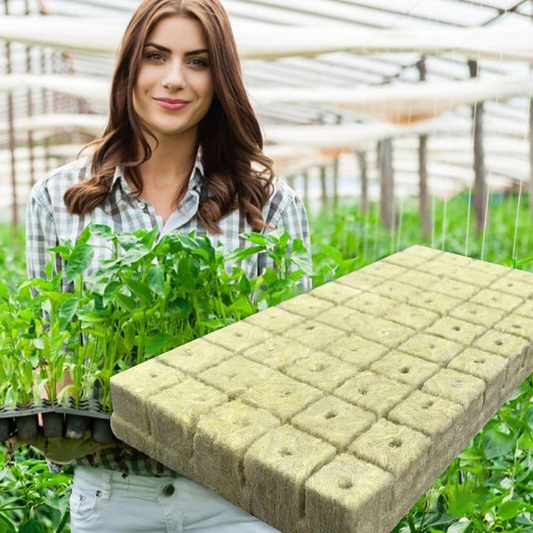 Grow Starter Rockwool Cubes Plug Hydroponic Planting Cloning Propagation