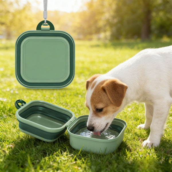 2PCS Portable Pet Food and Water Bowl Collapsible Travel Dog Cat Feeding Bowl