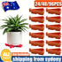 Flower Pot Risers Toes Invisible Plant Pot Feet for IN/Outdoor Planters