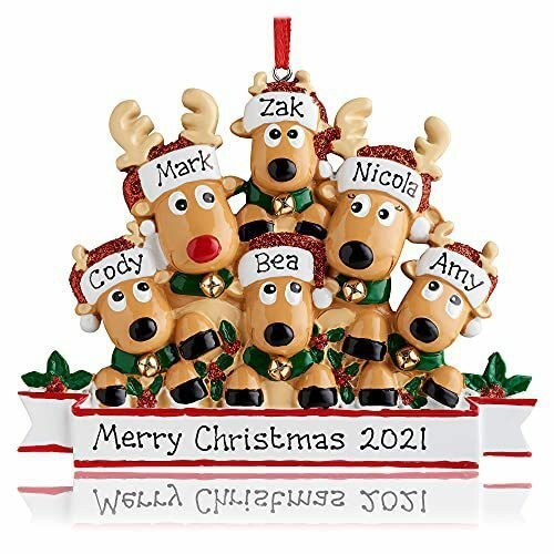 6 reindeer family Christmas ornament with example names and a dated banner