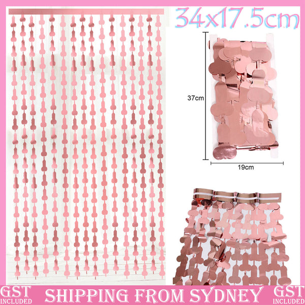 1mx2m Willy Tinsel Curtain Metalic BackDrop Hens Party Penis Decor Rose Gold AU