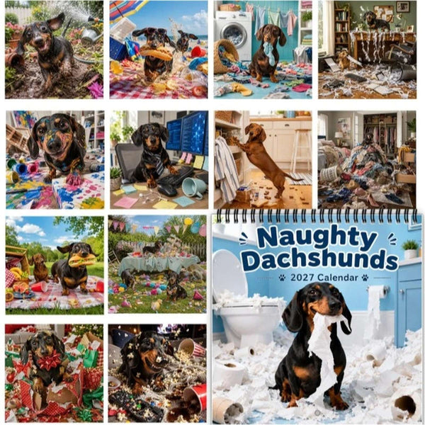 Monthly dachshund photos inside the 2027 calendar, from toilet paper chaos to muddy paws