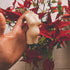 files/s-l1600_ec4b48f0-2b13-4fd7-a5ba-894a781cabed.jpg