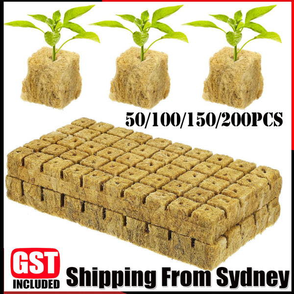 Grow Starter Rockwool Cubes Plug Hydroponic Planting Cloning Propagation