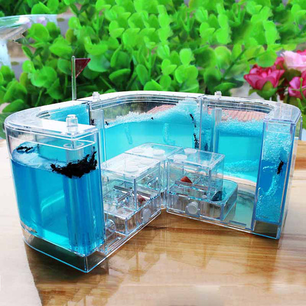 Blue gel ant farm on a table outdoors with ants digging tunnels