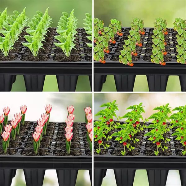 10PCS 72 Cell Seed Starter Trays Seedling Germination Nursery Propagation Trays