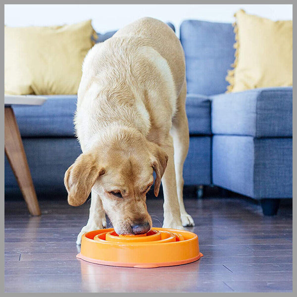 2PCS Cat Dog Slow Down Eating Feeder Dish Pet Large / Small Feeding Food Bowl Di