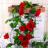 files/s-l1600_f28ab2a1-14b3-493c-b58c-2ea46f7e2cd2.jpg