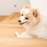 files/s-l1600_f51b8049-18f7-44d8-8831-a961f8a4b7be.jpg