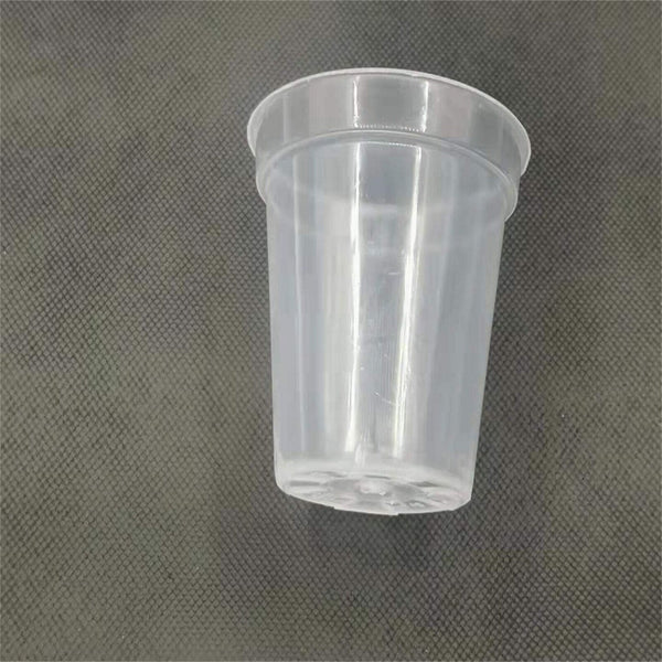 10X Clear Plastic Orchid Pots with Holes | Phalaenopsis, Paphiopedilum 76MM AUS