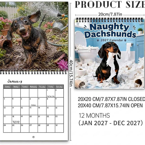 Dachshund calendar size: 20 x 20 cm closed, 20 x 40 cm open, 12 months