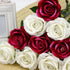 files/s-l1600_fd386240-5f3e-4e64-bd1d-f57b863a4cbd.jpg