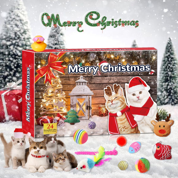 Kittens in the snow with the cat advent calendar and colourful cat toys