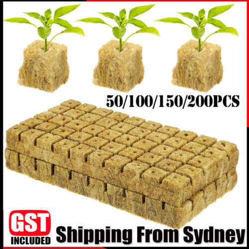 Grow Starter Rockwool Cubes Plug Hydroponic Planting Cloning Propagation