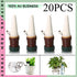 20X Automatic Watering Spikes System Houseplant Garden Plant Self-Watering Syste