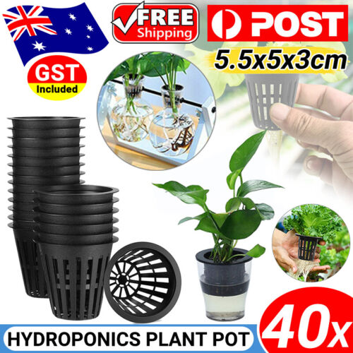 40pcs Hydroponics Plant Grow Net Cup Mesh Pot Basket Mesh Aeroponic Aquaponic AU