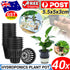 40pcs Hydroponics Plant Grow Net Cup Mesh Pot Basket Mesh Aeroponic Aquaponic AU