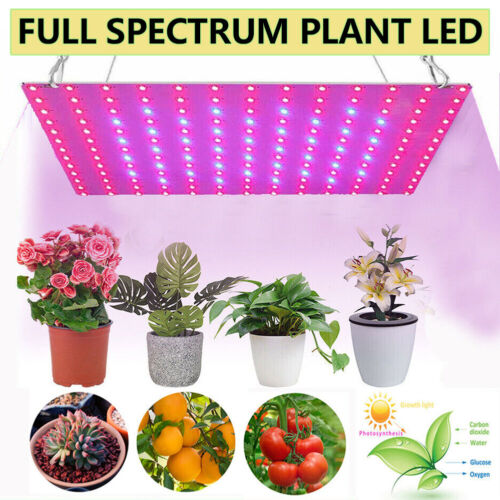 Plant AU plug Indoor UV Light Spectrum Plant Veg Lamp LED Grow Light Hydroponic