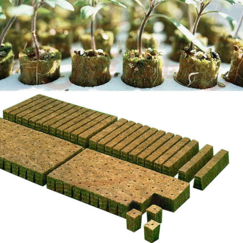 Grow Starter Rockwool Cubes Plug Hydroponic Planting Cloning Propagation