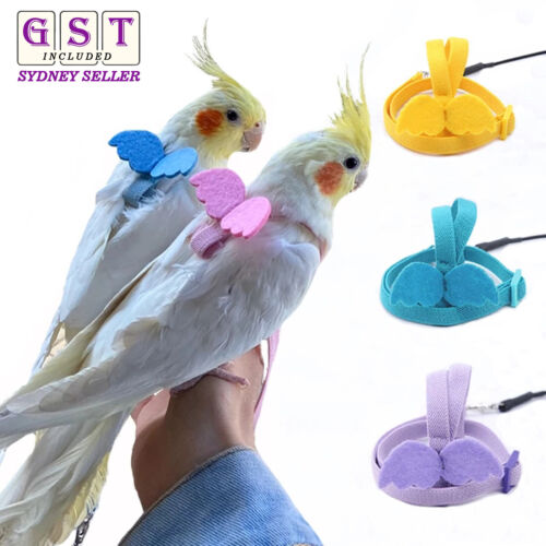 Adjustable Pet Parrot Bird Harness Lead Leash Flying Training Rope Cockatiel syd