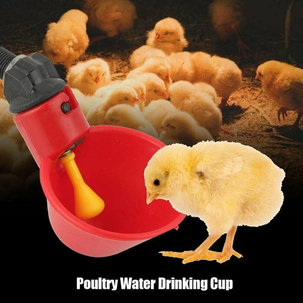 Poultry Chicken Automatic Drinker Cup Waterer Nipple Chook Bird Water Feeder - Lets Party