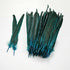 products/10pcs_30-35cm_Aqua_Blue.jpg