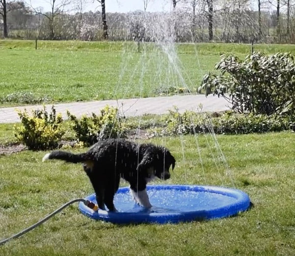 Pet Kids Outdoor Cool Sprinkler Splash Mat Blue Cooling Summer 1m - Lets Party