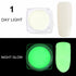 2g Glow In The Dark Pigment Powder Craft Resin Epoxy Art Powder Jewellery Nails