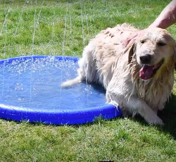 Pet Kids Outdoor Cool Sprinkler Splash Mat Blue Cooling Summer 1m - Lets Party