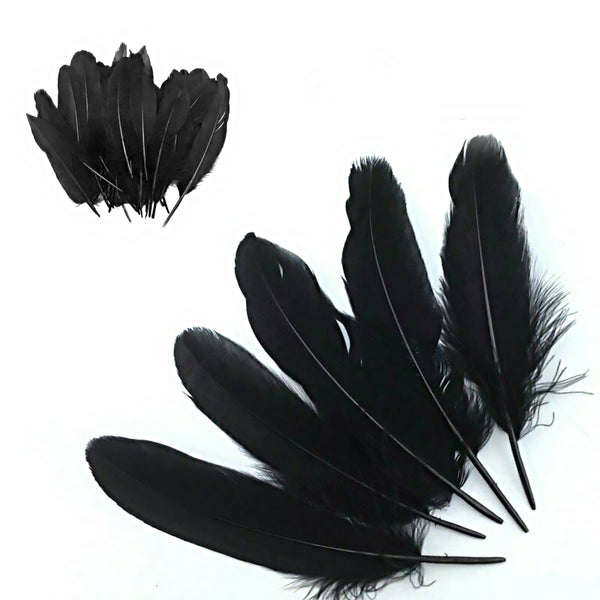 Mix Hen Pheasant Peacock Tail Eye Goose Feathers Wedding Millinery DIY Craft - Lets Party