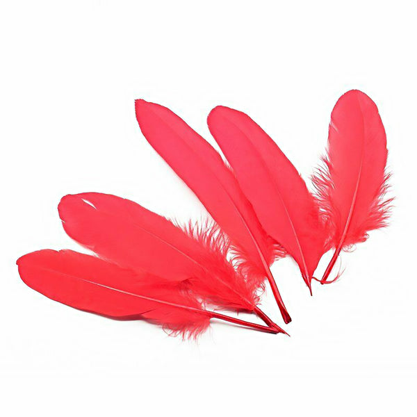 Mix Hen Pheasant Peacock Tail Eye Goose Feathers Wedding Millinery DIY Craft - Lets Party