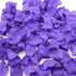 products/Purple.jpg