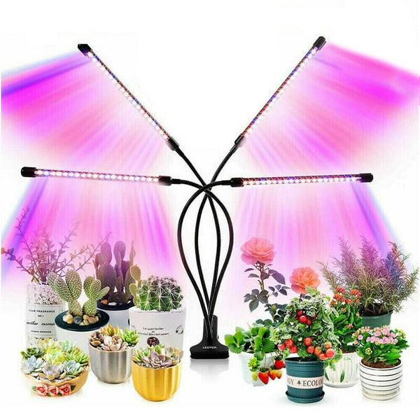 4 Head 80 LED Grow Light Growing Veg Flower Indoor Clip 40W Plant Lamp - Lets Party