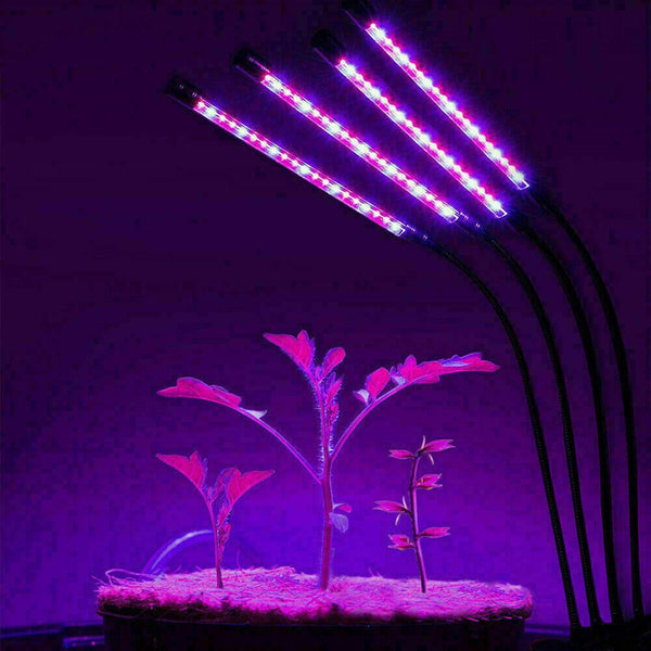 4 Head 80 LED Grow Light Growing Veg Flower Indoor Clip 40W Plant Lamp - Lets Party